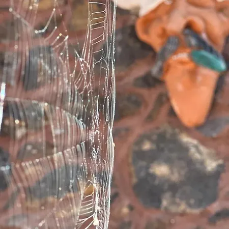 Il Frutteto Di Efesto Farmház