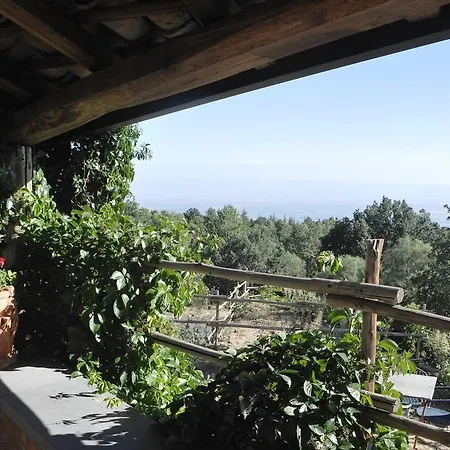 Il Frutteto Di Efesto