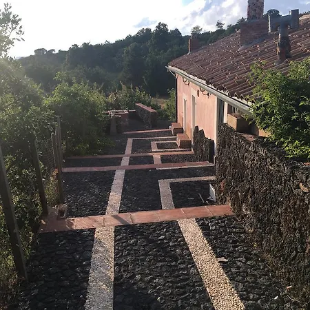 Il Frutteto Di Efesto *