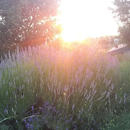 Il Frutteto Di Efesto Farmház