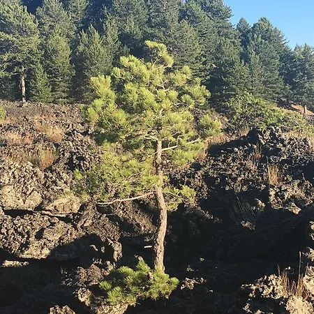 Il Frutteto Di Efesto Farmház Biancavilla