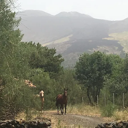 Farmház Il Frutteto Di Efesto *