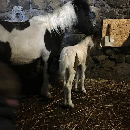 Il Frutteto Di Efesto Farmház